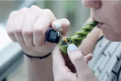 cannabis-users-the-artist-tree-dispensary