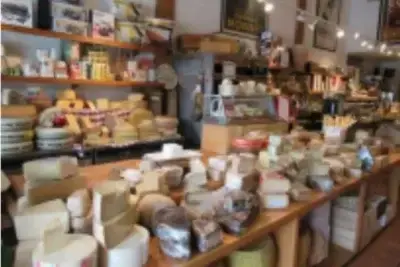 cheese-store-beverly-hills-the-artist-tree
