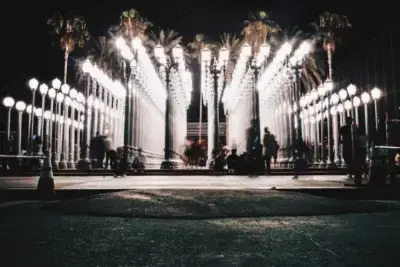 lacma-los-angeles-the-artist-tree