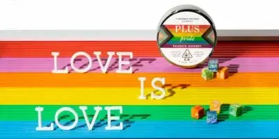 lgbtq-the-artist-tree-dispensary-california