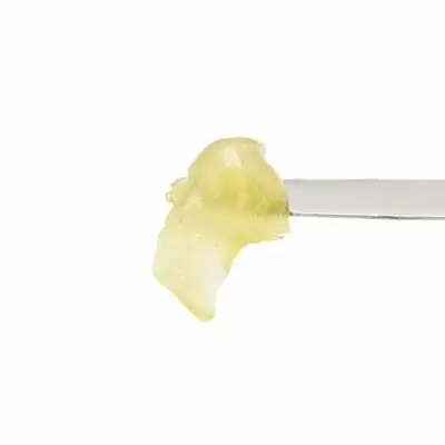 live-rosin-the-artist-tree-blog