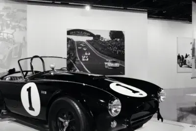 petersen-automotive-museum-los-angeles-the-artist-tree