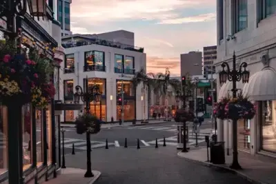 rodeo-drive-beverly-hills-the-artist-tree