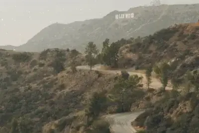 scenic-drive-los-angeles-the-artist-tree