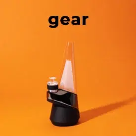 Gear