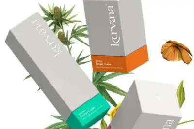 vape-cartridges-the-artist-tree-blog