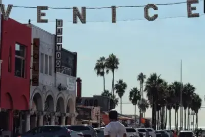 venice-beach-los-angeles-the-artist-tree
