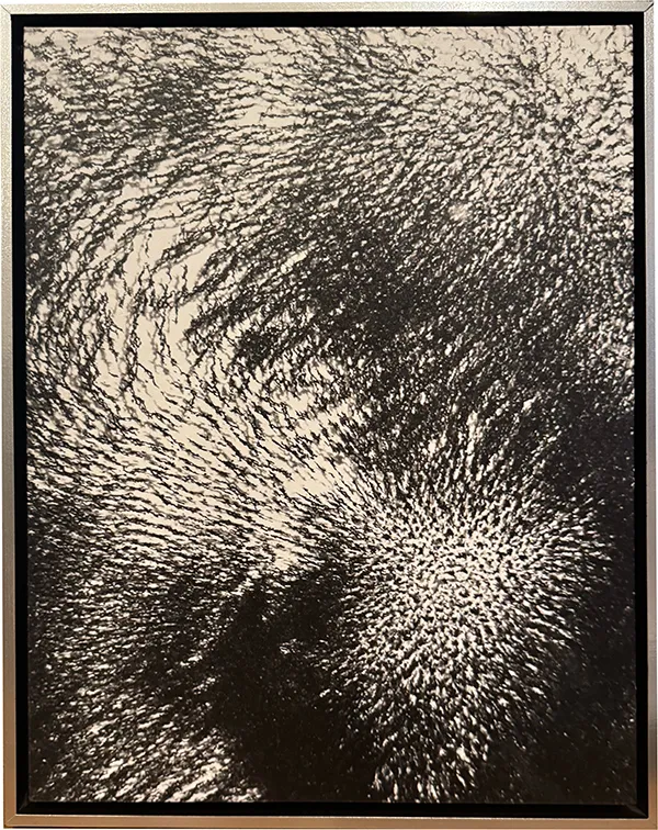 Joan K. Sharma - FORCE OF NATURE