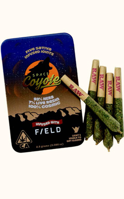 50% Off Space Coyote