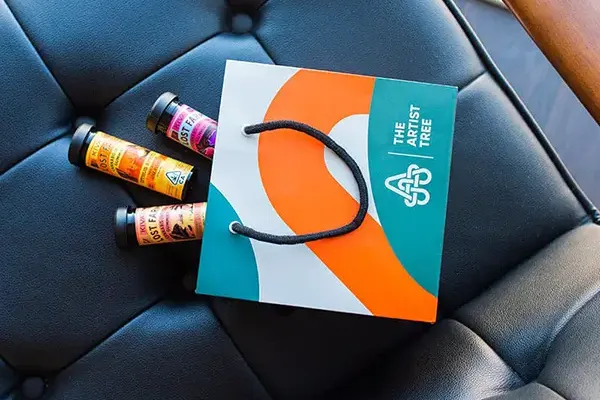 shopping bag on a chair