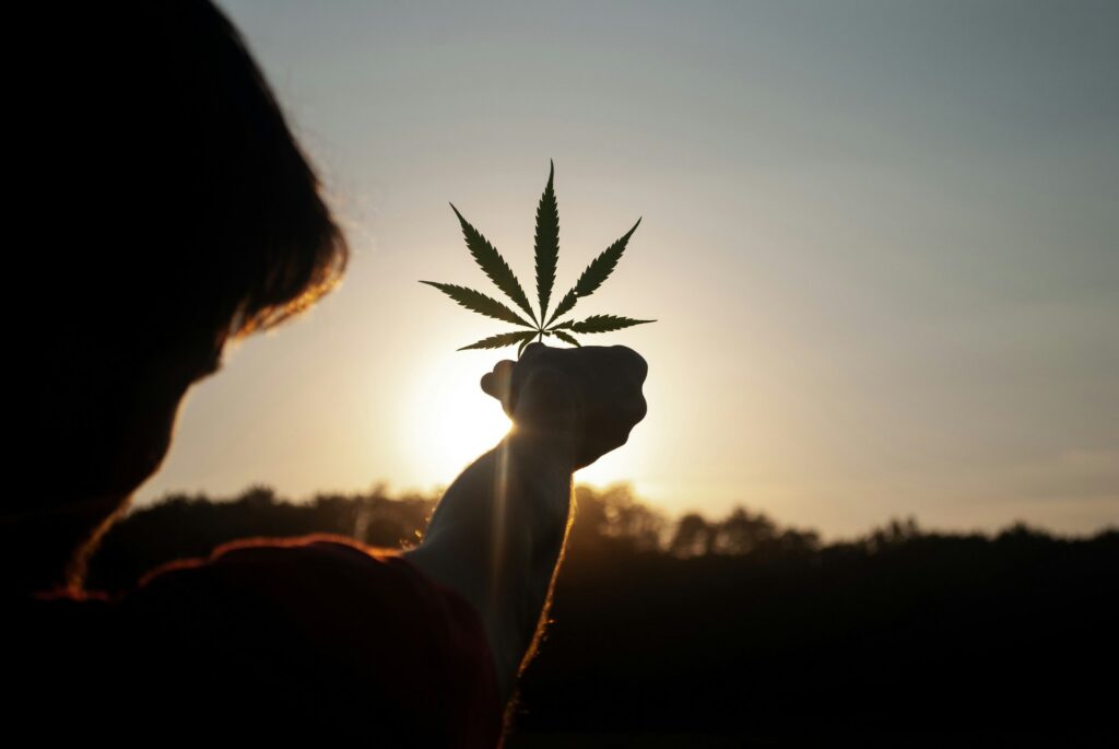 kid-holding-cannabis-leaf
