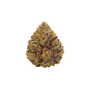 biscotti weed strain