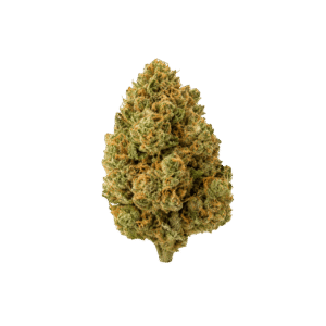 blue dream strain