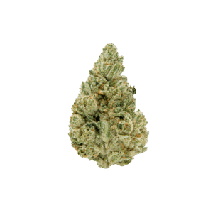 gg4 weed strain