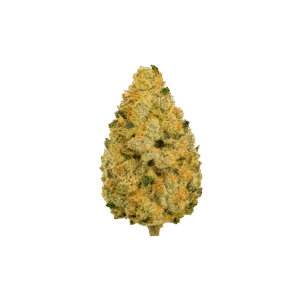 gmo cannabis strain