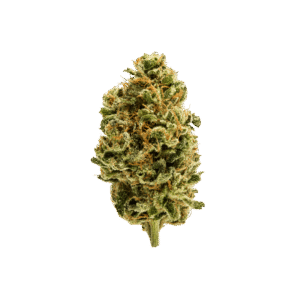Garlic Cocktail weed strain