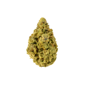 OG kush strain