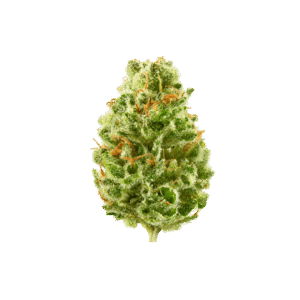 strawberry cough strain