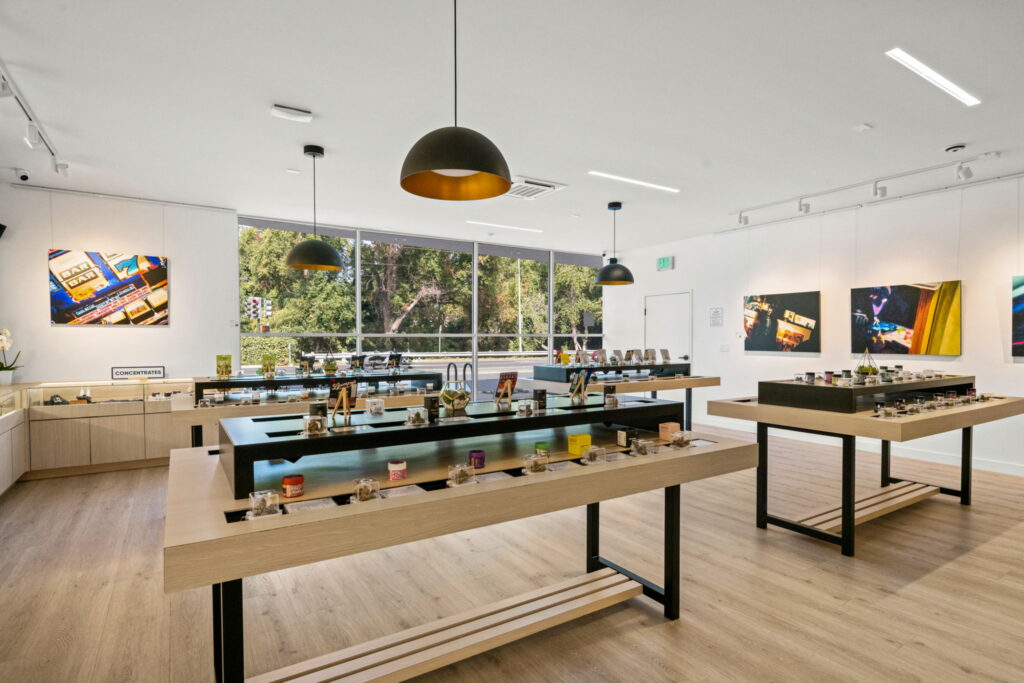 the artist tree store