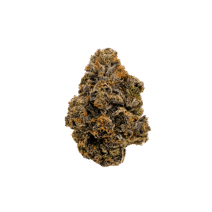 Adios MF strain