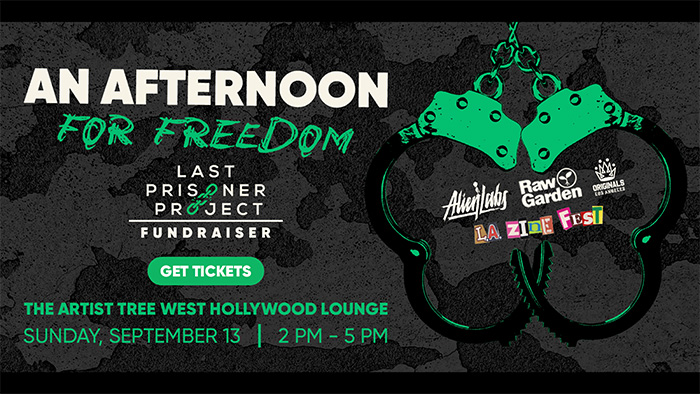 An Afternoon for Freedom