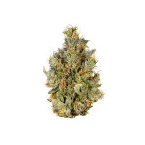 biskante weed straine