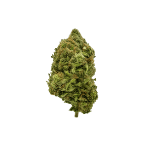 master kush weed strain