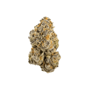 Moroccan Peaches weed strain