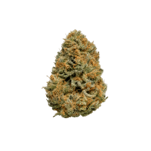 papaya strain