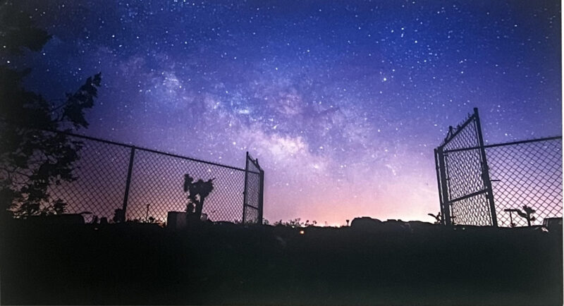 Michael Pang photo