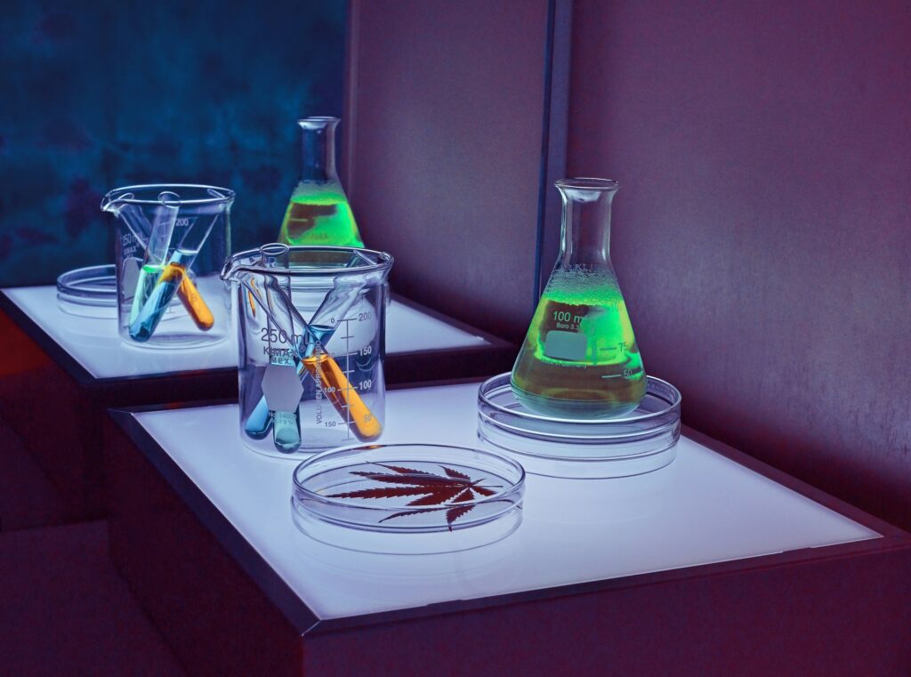 Cannabis leaf in a petri dish beside lab beakers, test tubes and a glowing flask, representing cannabinoid research