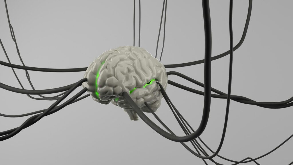 3D illustration of a human brain glowing green and connected to a web of cables, representing the endocannabinoid system's signaling network