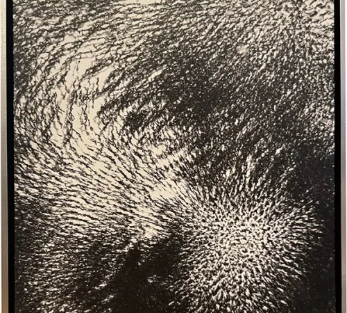 Joan K. Sharma - FORCE OF NATURE